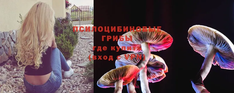 Галлюциногенные грибы Cubensis  Соликамск 